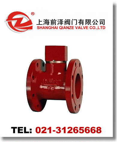 ZSJZ水流指示器